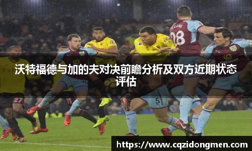 沃特福德与加的夫对决前瞻分析及双方近期状态评估